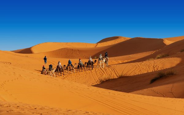 Enjoy Merzouga's golden dunes