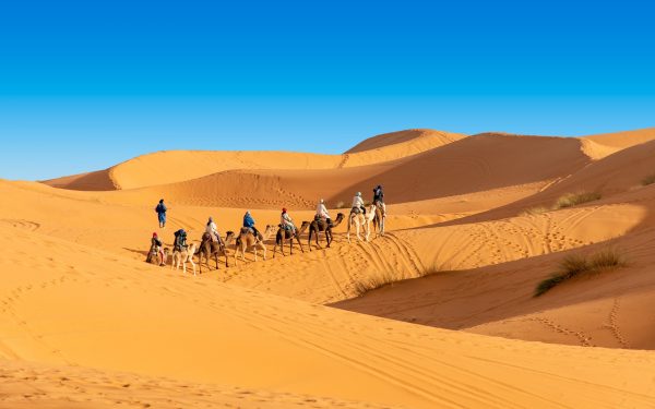 Sahara-Enjoy Merzouga's golden dunes