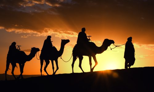 Camel caravan in Morocco