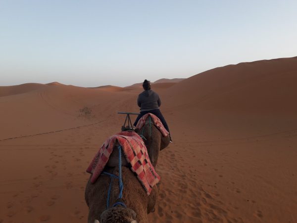 Riding-Camel-Sahara-Morocco