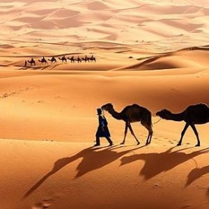 Camel-Caravane-Zagora-dunes