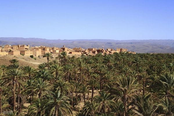 Draa-Valley-Zagora