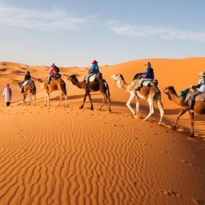 Cross the dunes of the Sahara on a camel ride