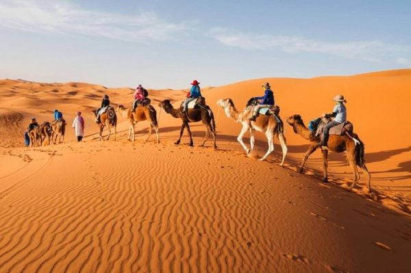 Cross the dunes of the Sahara on a camel ride