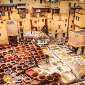 Fez-Explorer-tannery