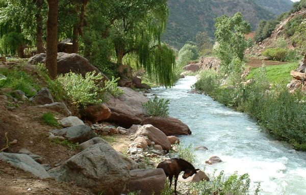 Marrakech-Photo-Ourika-Valley-Day-Trip