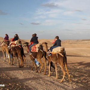 Riding-Camels-Agafay