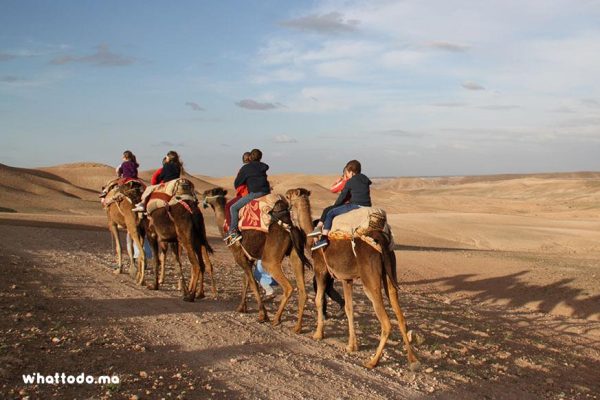 Riding-Camels-Agafay