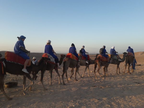Camel-Riding-Morocco