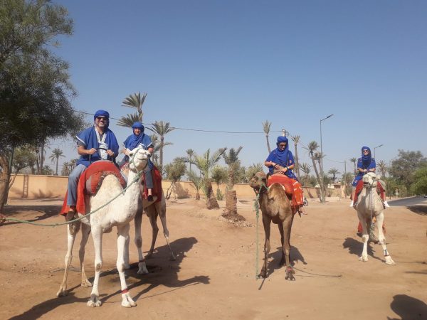 Riding-Camels-Morocco