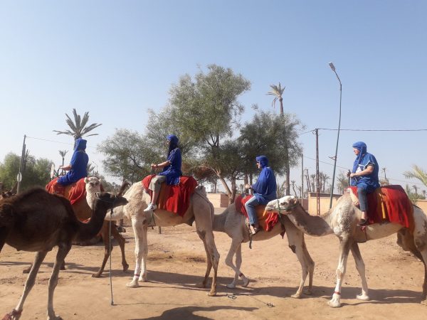 Riding-Camels-Morocco