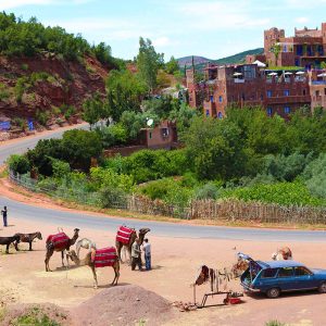 Day_trip_Ourika_Valley_Marrakech