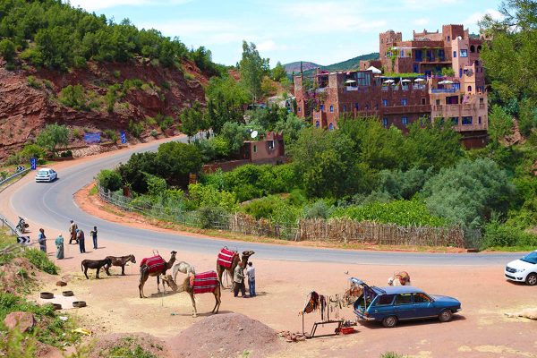 Day_trip_Ourika_Valley_Marrakech