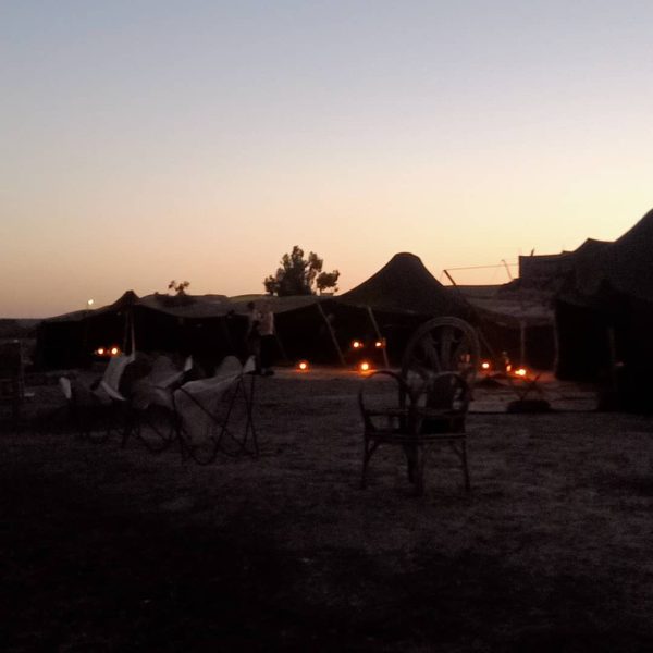 Night-Camp-Desert