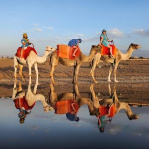 Camel-Ridding-Morocco