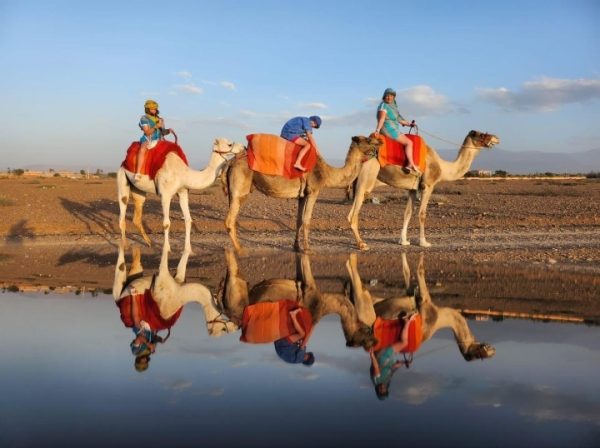 Camel-Ridding-Morocco