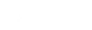 asni logo