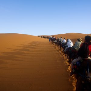 Caravan Crossing Desert