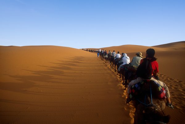 Caravan Crossing Desert