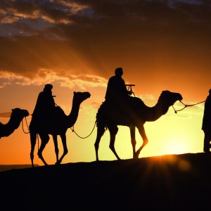 Camel_caravan_in_Morocco