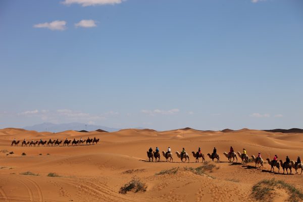 Camel-Caravan-Merzouga-Sahara