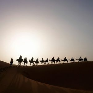 Camel-Caravan-Dune-Merzouga-Morocco