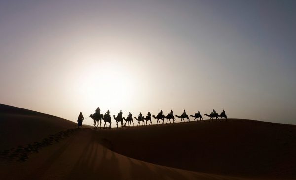 Camel-Caravan-Dune-Merzouga-Morocco