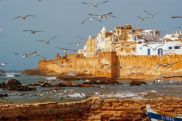 Essaouira-Morocco