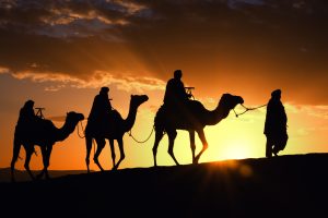 Camel caravan in Morocco