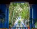 Visit Morocco