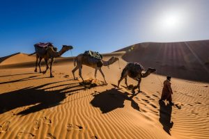 Morocco Sahara Expeditions